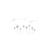 Reforesta Calca